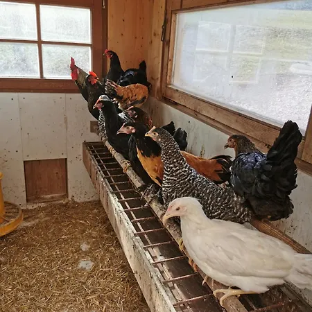 Badmeisterhof * Leogang