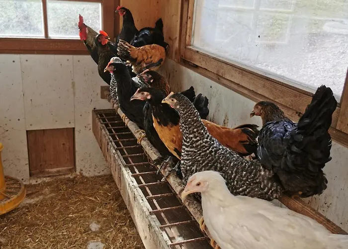 Badmeisterhof * Leogang